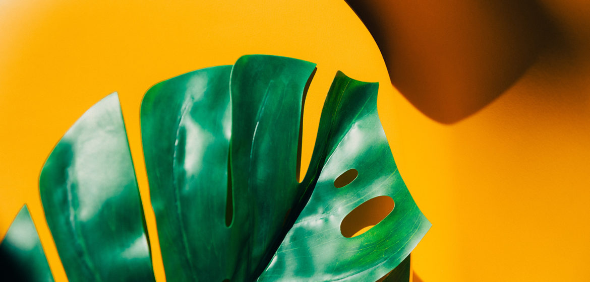 MEDIACCORD-a-propos-slider-#2